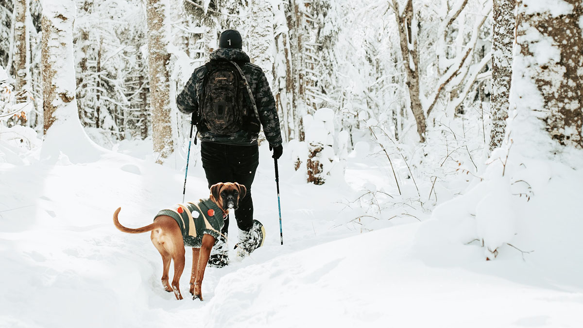 Termiczne kalesony męskie z wełną merino Devold Duo Active - kolor: black (czarny)